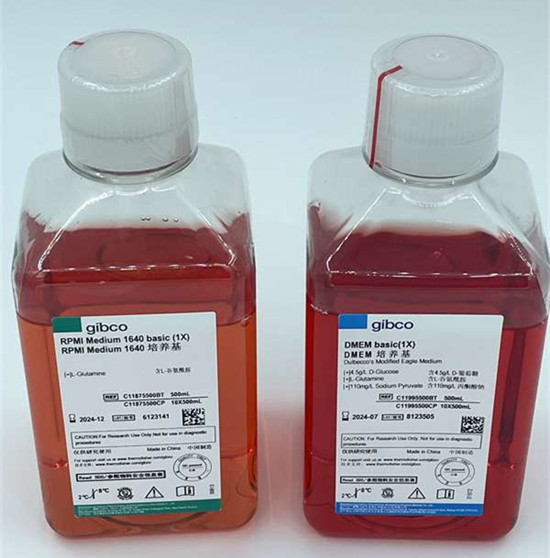 常見的細胞培養基類型有哪些