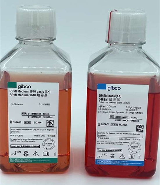 1724641908672451.jpg IMG_2053.JPG