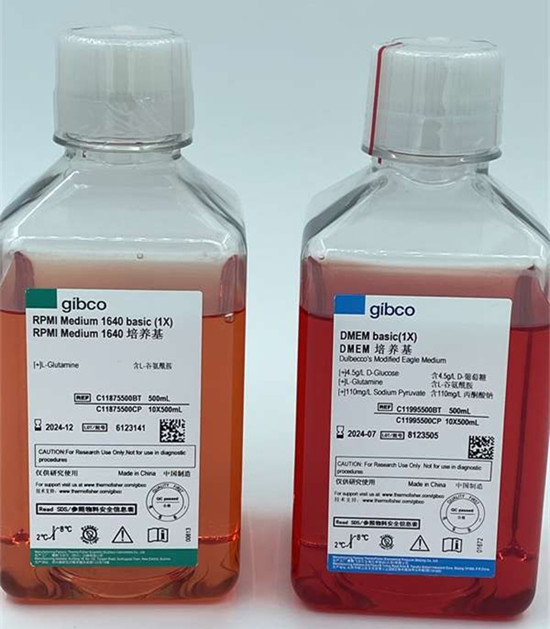 Gibco澳洲胎牛血清在細胞培養中的作用